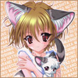 Kittii